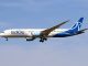 IndiGo widebody operations